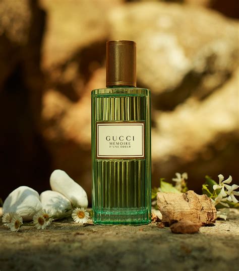 gucci memoria di un odore|gucci memory d'une odeur.